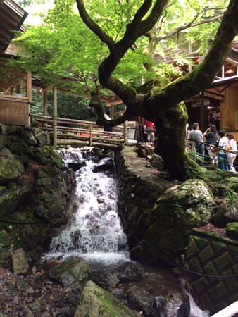 横野滝　もみじ亭