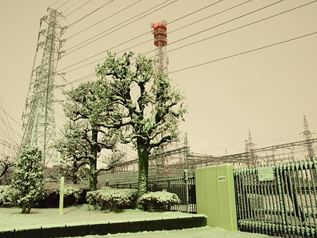 P1239497
