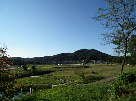 巾着田 664