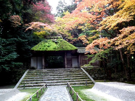 京都 614