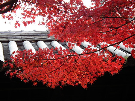 京都2 106