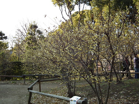 DSCF0143