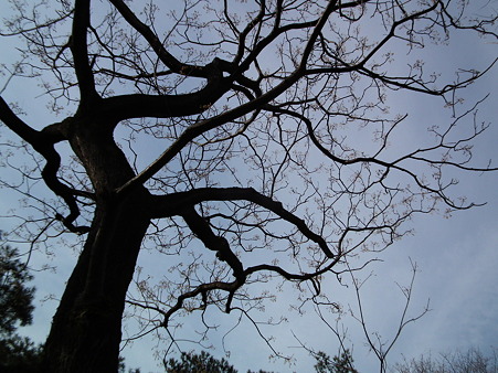DSCF0023