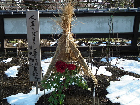 DSCF0160