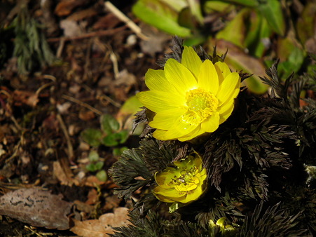 DSCF0174