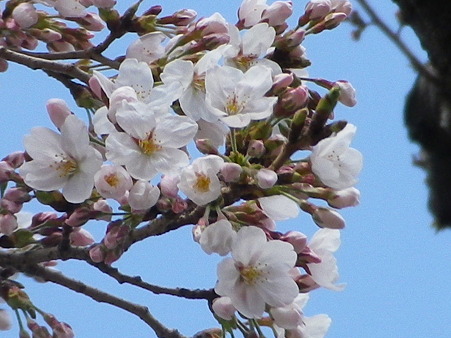 IMGP0032