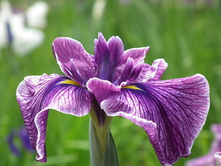 DSCF0135