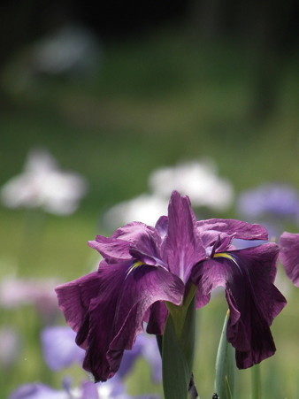 DSCF0304