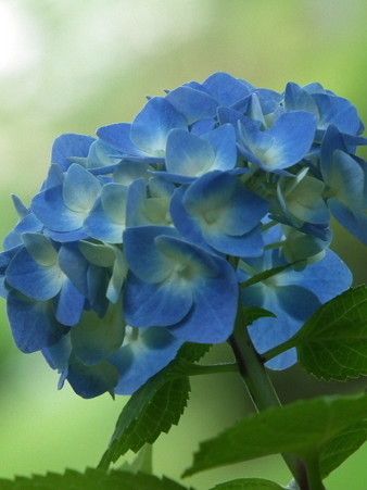 DSCF0359