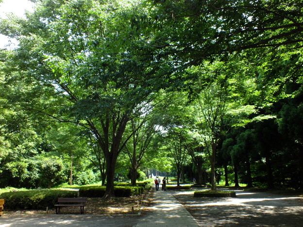 DSCF0038