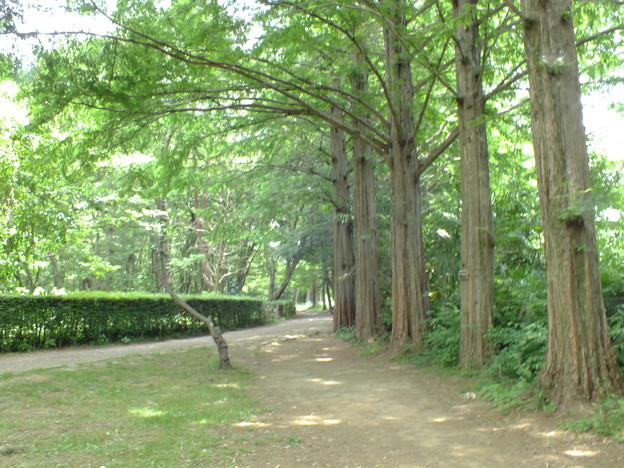 DSCF0204