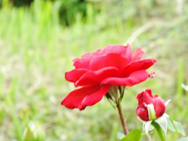 DSCF0434