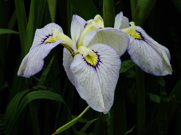 DSCF0080