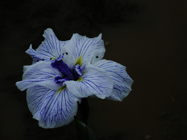 DSCF0481