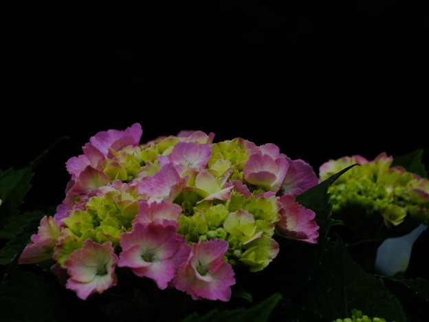 DSCF0398