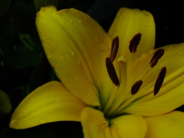 DSCF0271