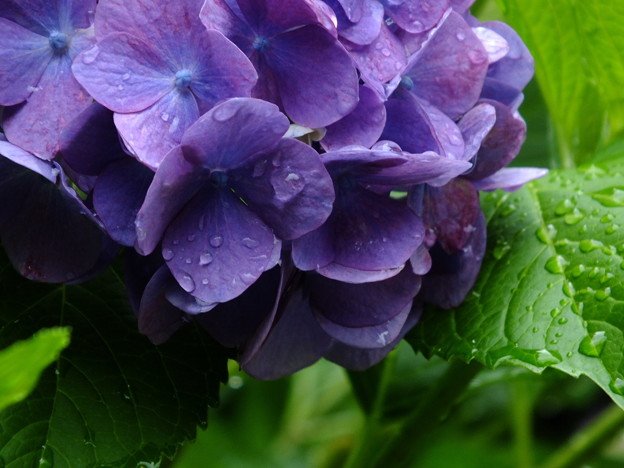 DSCF0013