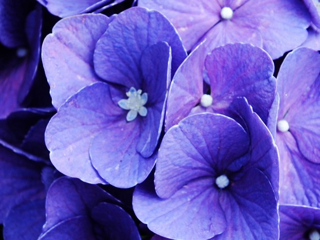 DSCF0031