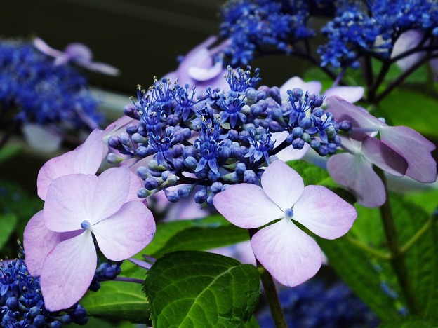 DSCF0173