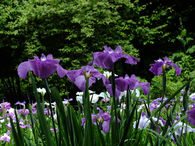 DSCF0074