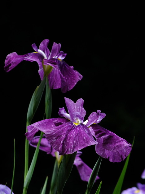 DSCF0188