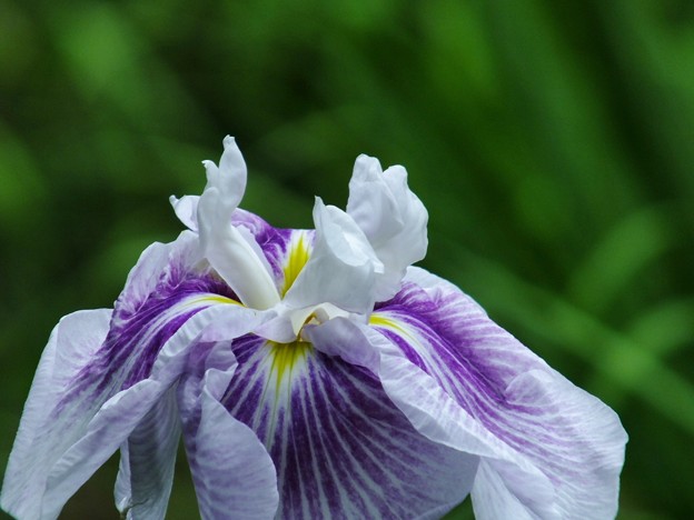 DSCF0037