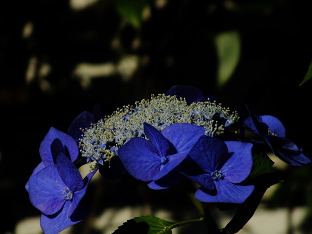 DSCF0319