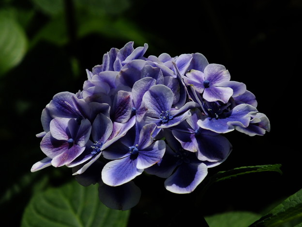 DSCF0083
