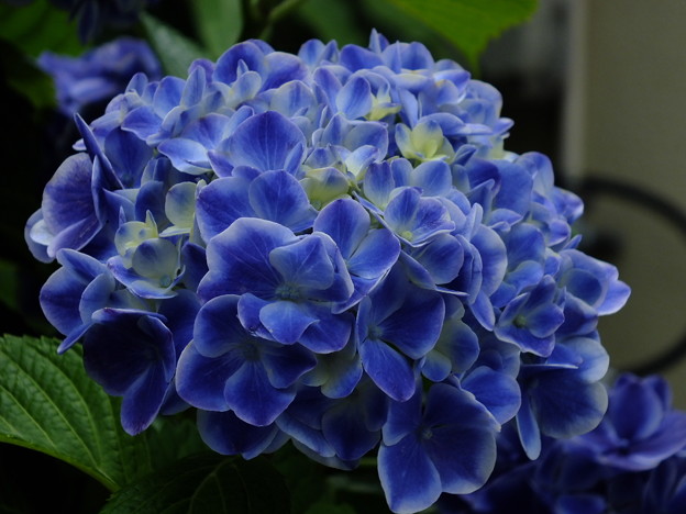 DSCF0012