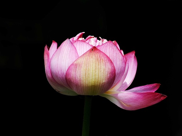 DSCF0088