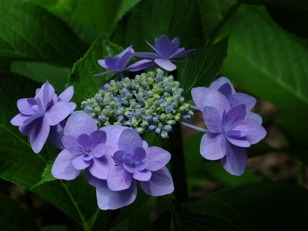 DSCF0197