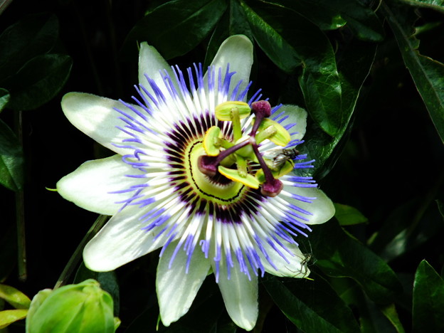 DSCF0493