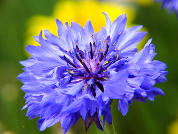 DSCF0544