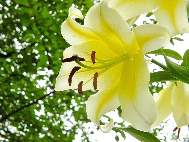 DSCF0153