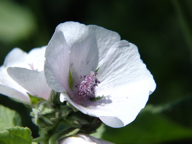 DSCF0171