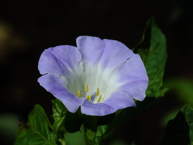 DSCF0188