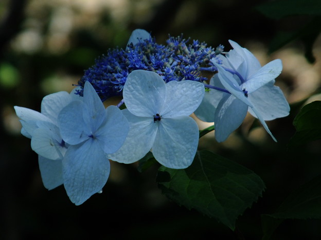 DSCF0126