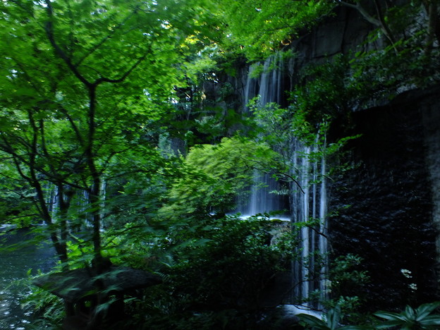 DSCF0179