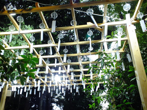 DSCF0038