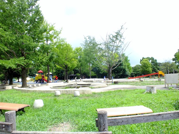 DSCF0157