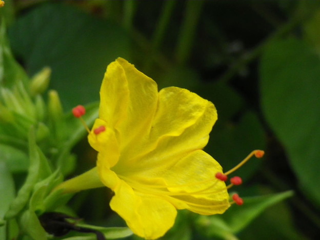 IMGP0349