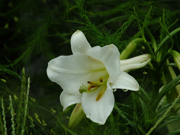 DSCF0020