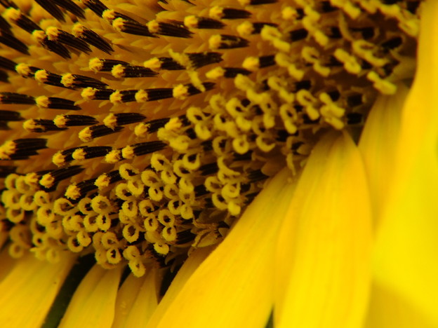DSCF0085