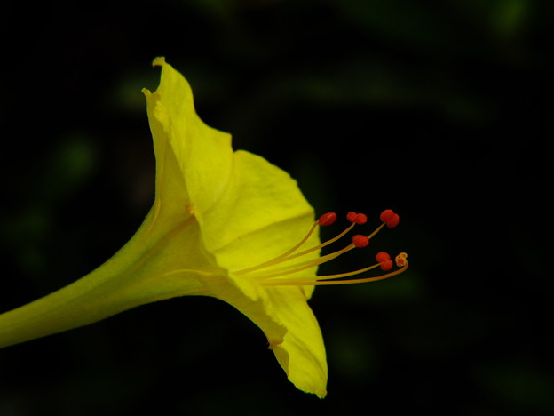 DSCF0191