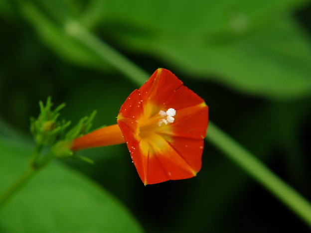DSCF0065