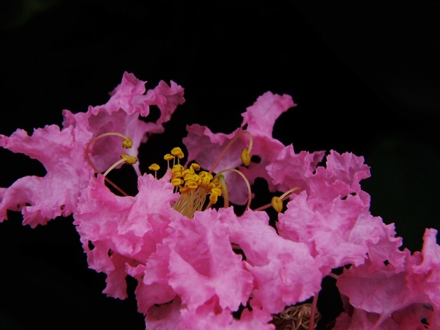 DSCF0073