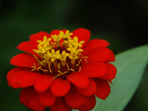 DSCF0098