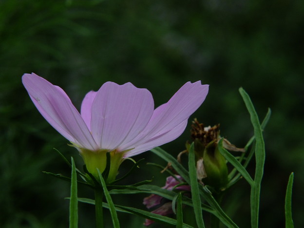 DSCF0127