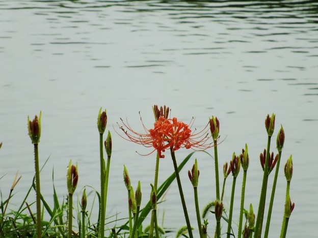 DSCF0352