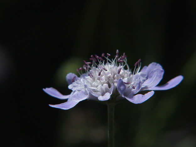 DSCF0166
